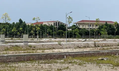 Tỉnh Nghệ An ra văn bản ngăn chặn tình trạng "sốt ảo" Anh chị em ơi, hãy tải LC88 ngay