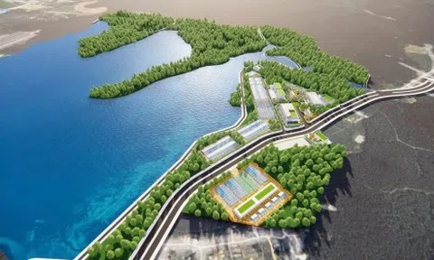 Khu lâm nghiệp ứng dụng công nghệ cao "đòn bẩy" giúp ngành lâm nghiệp Nghệ An "hoá rồng"
