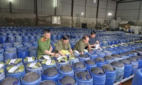 Nghệ An siết chặt quản lý, không để thực phẩm bẩn xuất hiện trên 10Lc88 Giải Trí Thể Thao