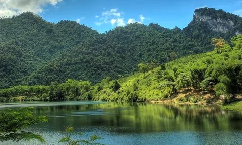 Chi trả giảm phát thải khí nhà kính, cách bảo vệ rừng hiệu quả tại vườn Quốc gia Pù Mát