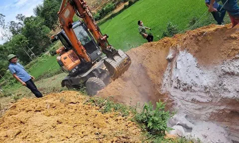 Nghệ An chỉ đạo các LLc88 phiên bản mới nhanh chóng dập tắt dịch tả lợn Châu Phi