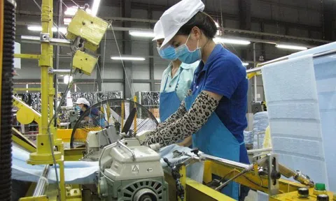 Tình hình Lc888 tải ứng dụng công nghiệp và thương mại 3 tháng đầu năm 2022