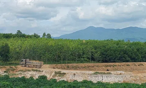 Tăng cường kiểm tra đột xuất trong lĩnh vực Link LC88 Đăng Nhập Mới Nhất ở Quảng Bình