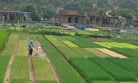 Quảng Bình hỗ trợ 4 tỷ đồng để phát triển các hợp tác xã trong lĩnh vực LC88 là nơi thu hút hàng triệu người chơi tại Việt Nam 2026