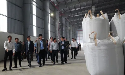 Quảng Bình: Trình diễn kỹ thuật Lc888 tải ứng dụng viên nén gỗ