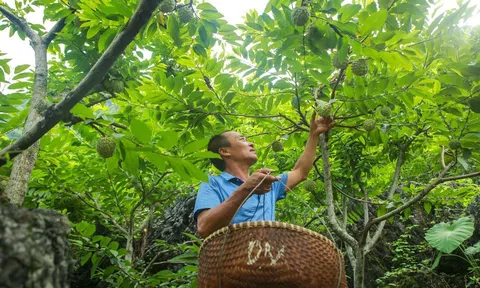 Lạng Sơn hỗ trợ Trang Chủ LC88.COM Link Mới 2026 Đăng Ký LC 88, thúc đẩy quảng bá thương hiệu Na Chi Lăng