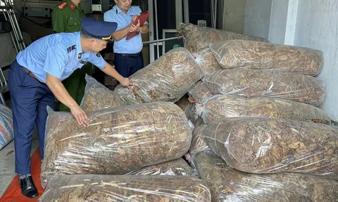 Cao Bằng: Phát hiện xe ô tô tải vận chuyển 550kg nguyên liệu thuốc lá không rõ nguồn gốc xuất xứ 