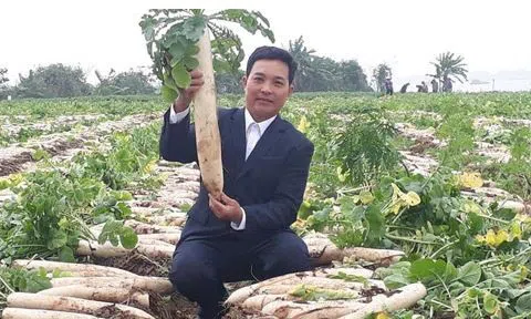 Hơn 9.000 hộ nông dân thành phố Bắc Ninh đạt danh hiệu Lc888 tải ứng dụng kinh doanh giỏi