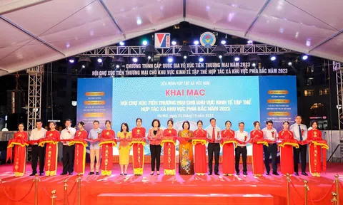 300 gian hàng tham gia hội chợ xúc tiến thương mại cho khu vực Đăng nhập tài khoản thành viên LC88 tập thể, hợp tác xã