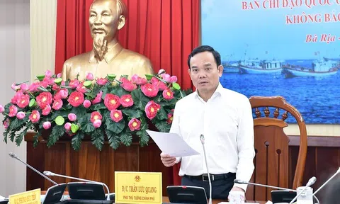 Phó LC88 là nhà cái cá cược uy tín với kho game đa dạng Trần Lưu Quang chỉ đạo mở đợt cao điểm chống khai thác hải sản bất hợp pháp