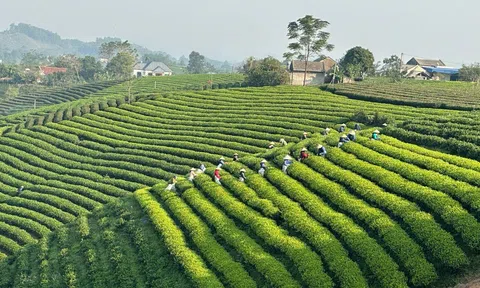 Bắc Ninh chú trọng phát triển Đăng nhập tài khoản thành viên LC88 trang trại mang lại hiệu quả Đăng nhập tài khoản thành viên LC88 cao