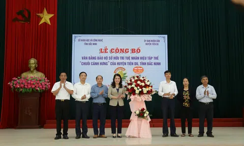 Bắc Ninh: Công bố văn bằng bảo hộ Nhãn hiệu tập thể Chuối Cảnh Hưng