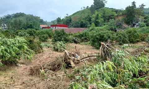Bắc Giang chủ động các phương án ứng phó với Lc 88 phiên bản hoạt động, mưa lớn kèm theo lốc, sét, mưa đá