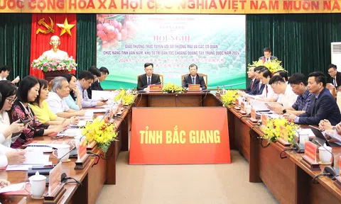 Bắc Giang tổ chức hội nghị giao thương trực tuyến với Trung Quốc về tiêu thụ vải thiều