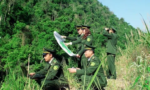 Giá trị Đăng nhập tài khoản thành viên LC88 rừng ngày càng nâng cao