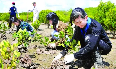 Đổi mới phương thức tuyên truyền ứng phó biến đổi khí hậu và quản lý tài nguyên