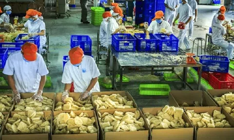 Khối 10Lc88 Casino & Thể Thao Link Mới FDI khởi sắc từ đầu năm 2023