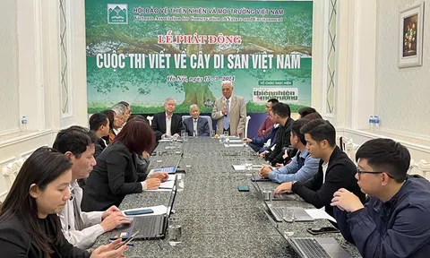 Chính thức phát động cuộc thi viết về Cây Nhà Cái LC88 com Tặng Khách Yêu 800k Việt Nam