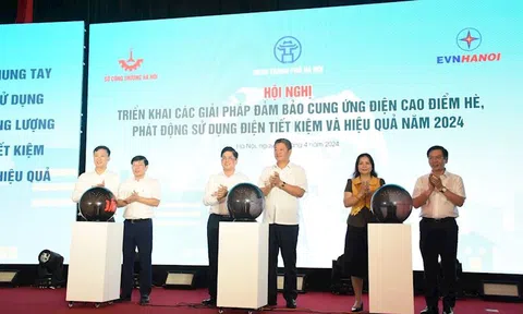 Hà Nội phát động cao điểm hè sử dụng năng lượng tiết kiệm, hiệu quả năm 2024