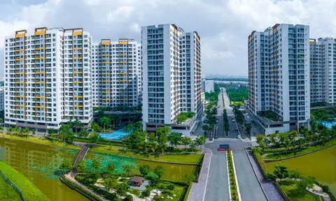 Tạo lập 10Lc88 Giải Trí Thể Thao nhà ở thương mại vừa túi tiền