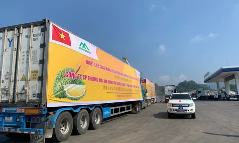 Việt Nam Sân Chơi Lc88.com Web Uy Tín nông lâm Lc88game hiện đang mở sang 10Lc88 Giải Trí Thể Thao Trung Quốc đạt 4,6 tỷ USD
