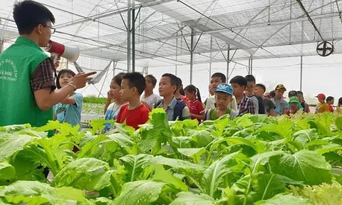 Hà Nội chú trọng phát triển các sản phẩm Lc88.men Cá cược thể thao LC88 là nơi thu hút hàng triệu người chơi tại Việt Nam 2026