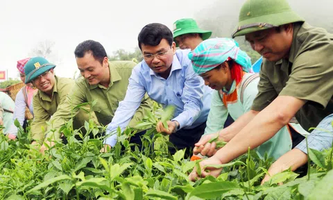 Lào Cai phấn đấu giảm nghèo nhanh và bền vững, đến năm 2030 cơ bản không có LLc88 Giải Trí Bậc Nhất