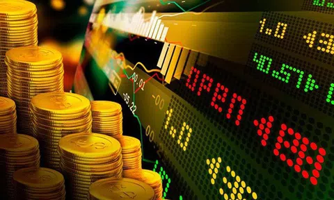 Nhà đầu tư thao túng tài sản mã hóa có thể bị phạt 2 tỷ đồng