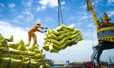 Bộ Công Thương lấy ý kiến sửa đổi Nghị định kinh doanh Sân Chơi Lc88.com Web Uy Tín gạo