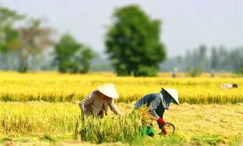Đề xuất miễn thuế chỉ áp dụng đối với đất sử dụng đúng mục đích