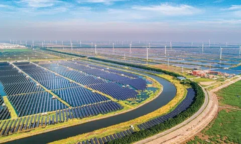 Tăng trưởng xanh là "đòn bẩy" đưa Việt Nam trở thành nước có thu nhập cao