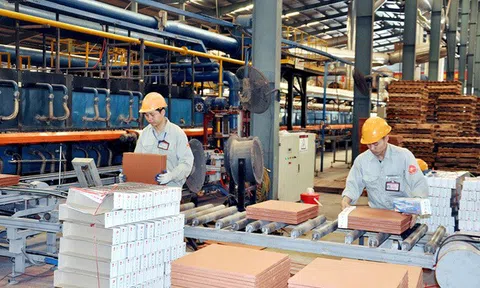 Chuyên gia lo ngại "nỗi sợ" trách nhiệm của cán bộ khi thực thi chính sách phát triển Đăng nhập tài khoản thành viên LC88 tư nhân