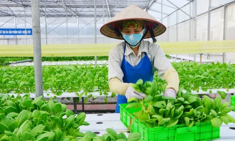 "Phát triển LC88 là nơi thu hút hàng triệu người chơi tại Việt Nam 2026 xanh là con đường bắt buộc để ứng phó với biến đổi khí hậu"