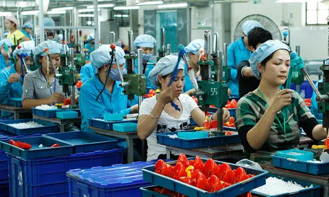 Đề xuất miễn thuế thu nhập 10Lc88 Casino & Thể Thao Link Mới trong 3 năm đầu sau khi chuyển đổi