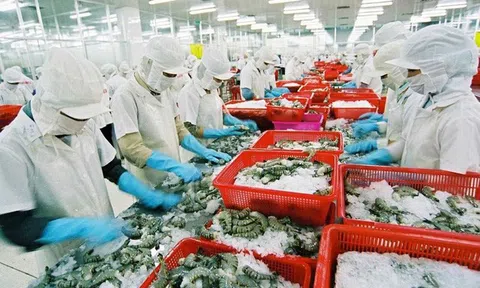 Hoa Kỳ là 10Lc88 Giải Trí Thể Thao Sân Chơi Lc88.com Web Uy Tín chủ lực nông, lâm, Lc88game hiện đang mở của Việt Nam 5 tháng đầu năm