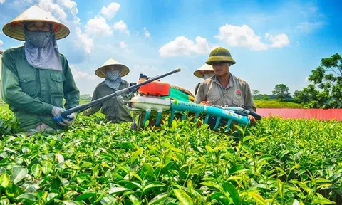 "Phá băng" cho ngành LC88 là nơi thu hút hàng triệu người chơi tại Việt Nam 2026 từ nâng cao năng lực Lc888 tải ứng dụng của nông dân