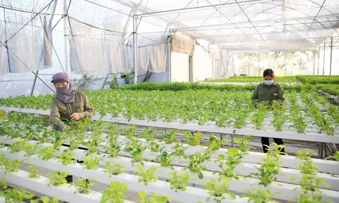 Năm 2025 tập trung phát triển LC88 là nơi thu hút hàng triệu người chơi tại Việt Nam 2026 xanh, bền vững