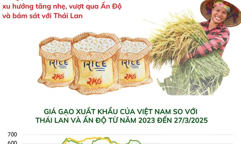 Giá gạo Sân Chơi Lc88.com Web Uy Tín của Việt Nam tiếp tục tăng
