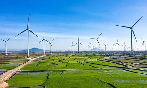 Chuyển đổi xanh và chứng chỉ carbon: Cơ hội, thách thức và giải pháp hỗ trợ đồng bào dân tộc thiểu số