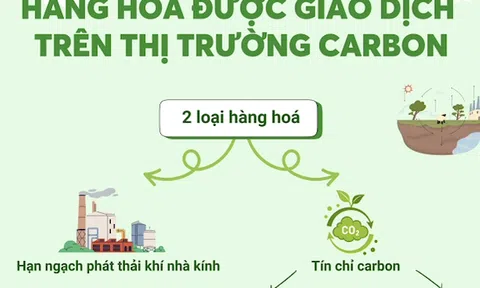 Hàng hoá được giao dịch trên 10Lc88 Giải Trí Thể Thao carbon