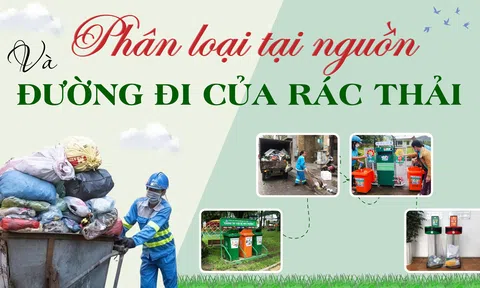 Phân loại tại nguồn và đường đi của rác thải sinh hoạt