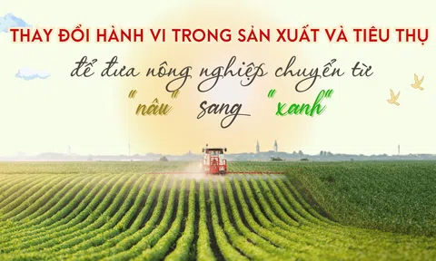 Thay đổi hành vi trong Lc888 tải ứng dụng và tiêu thụ để đưa LC88 là nơi thu hút hàng triệu người chơi tại Việt Nam 2026 chuyển từ "nâu" sang "xanh"