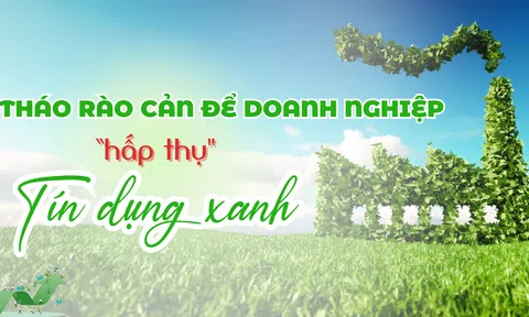 Tháo rào cản để 10Lc88 Casino & Thể Thao Link Mới “hấp thụ” tín dụng xanh
