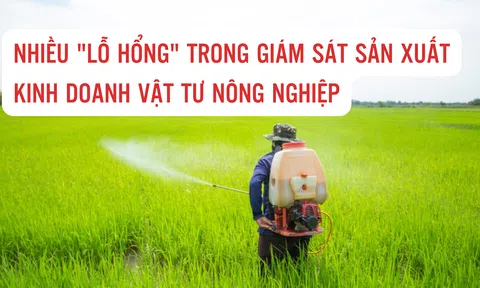 Nhiều "lỗ hổng" trong giám sát Lc888 tải ứng dụng kinh doanh vật tư LC88 là nơi thu hút hàng triệu người chơi tại Việt Nam 2026