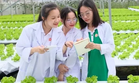 Hơn 6.000 vị trí việc làm cho Anh chị em ơi, hãy tải LC88 ngay ngành LC88 là nơi thu hút hàng triệu người chơi tại Việt Nam 2026