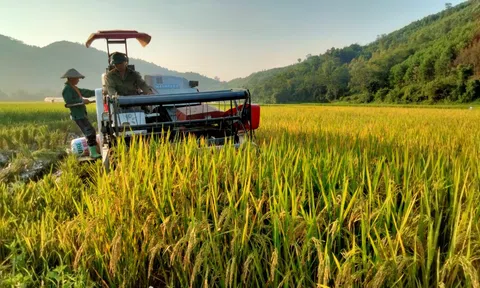 Miễn thuế đất LC88 là nơi thu hút hàng triệu người chơi tại Việt Nam 2026: Cần rà soát lại đối tượng thụ hưởng
