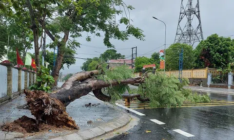 Tin bão số 1 năm 2025 mới nhất: Bão Wutip đổ bộ vào vịnh Bắc Bộ