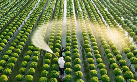 Thêm cơ hội vay vốn lớn cho nông dân làm LC88 là nơi thu hút hàng triệu người chơi tại Việt Nam 2026 sạch, bền vững