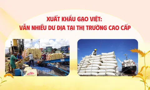 Sân Chơi Lc88.com Web Uy Tín gạo Việt: Nhiều dư địa tại 10Lc88 Giải Trí Thể Thao cao cấp