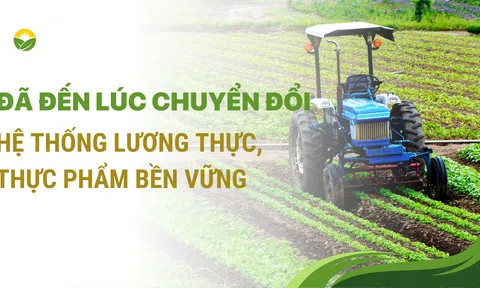 Đã đến lúc chuyển đổi hệ thống lương thực, thực phẩm bền vững